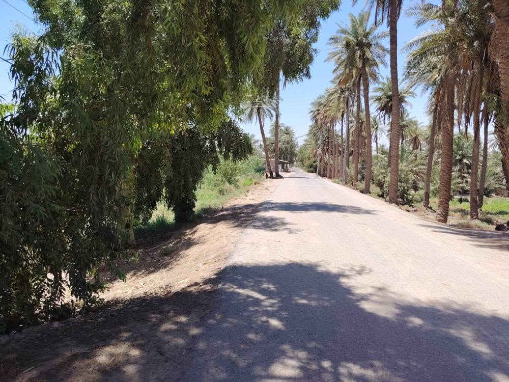 سلام عليكم مزرعه دونمين عل شط الكوفه طريق الزوار طريق العلما بيه بيت جاهز بيه ماطور مال ماي وبيه نخل حمال كله  تبليط لباب. طابو صرف تحويل ثاني يوم مكان مرتب كلش والسعر مناسب
اتصال أو استفسار
وتساب *********** النجف, العراق
