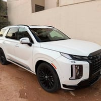 باليسايد كالكرافي • ٢٠٢٤ • بدون رقم