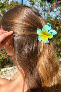 قراصة شعر • وردة • شي إن