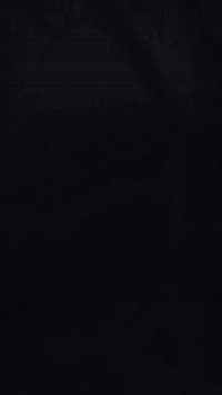 هارلي ديفيدسون سبورتستر 2010 بمحرك بسعة 1200cc هي دراجة نارية من طراز ...