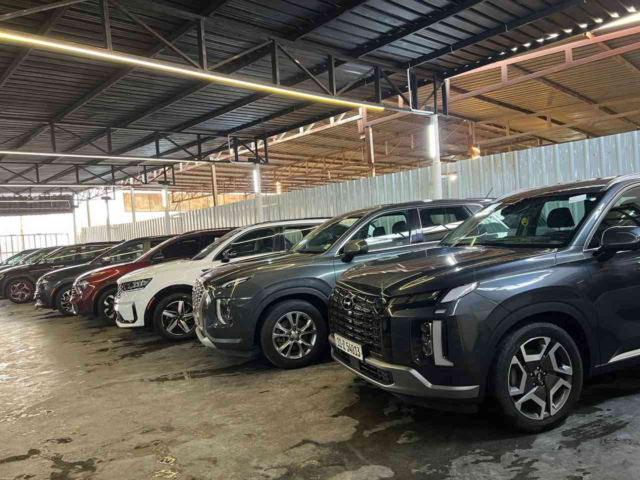 معرض الشارقــة لتجارة السيارات الحديثه 

مجموعه سيارات للبيع و مراوس 

 للاستفسار اكثر :

 ‭0773 228 5250
واتساب ***********
***********

مكان المعرض واسط قضاء الصويره
