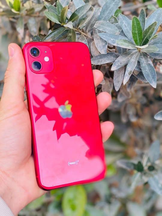 ايفون ١١ نضيف جدا مبدل بطاريه فقط ذاكره ١٢٨مكاني كربلاء ***********
