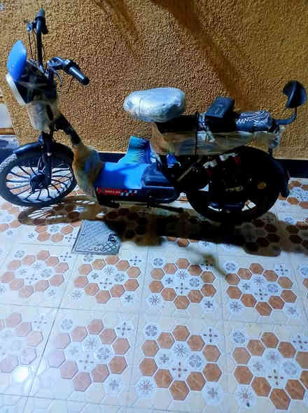 السلام عليكم دراجة شحن لبيع حجم 20 خمسة باتريات جديد مفاتيح عدد2
بركات 
شاحنة خير من الله المكان.ديالى ناحية كنعان سعر 275وبيهة مجال.رقم *********** واتساب موجود اذا رقم مقفول
