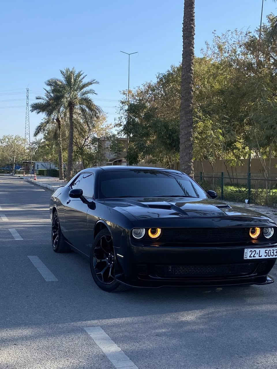 جالنجر 2017
3600 SXT

اربيل باسمي سنوية ورقم لل2030 

شاشة جبيرة 

شفتات ستيرن 

تحكمات فول 

صدر امامي خلفي نضيف 

كير محرك مكفول مابيها نقص 

دواخل السيارة والكشنات فول جديد 

تخم تاير نضيف 

حادث السيارة جاملغ وبنيد 
وجاملغ هنا انطخ بيدي وتبدل 
 ايرباك طاك 

السعر 146 وبيها مجال 

*********** 

خاص ماجاوب حبايبي اتصل او واتساب
