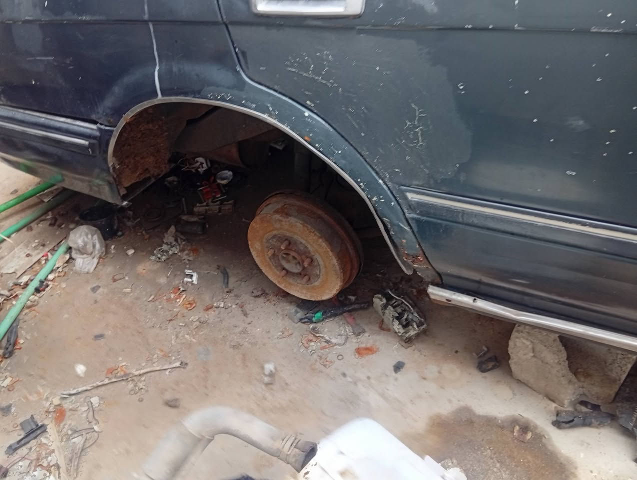 قراض ارنب للبيع بدي مال ارنب ما مكصوص حداديه واكسن وكشنات
***********
