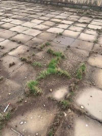 كادرركامل. متخصص   ومعالجه اسطح    السقق السكنيه.     مع وصل ضمان   ‭٠...