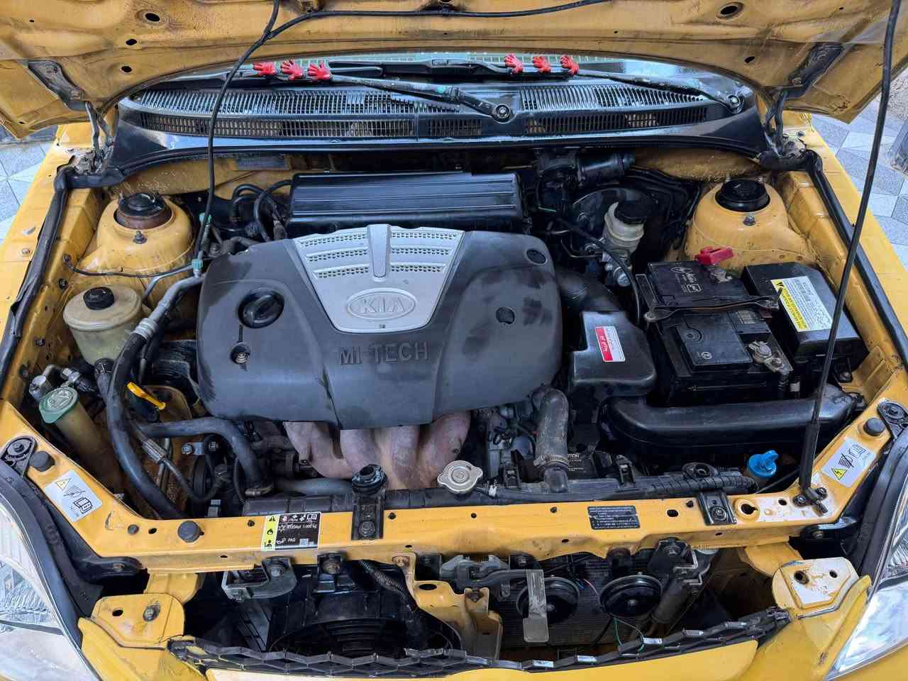 كيا ريو شركة العامة بلادي صفرة مصبوغة جمالية 
بدون ضرر 2010 رقم بغداد دولي سنوية جديد 
هزة جديدة صدر امامي خلفي جديد تبريد ثلج 
جاهزة من كلشي العنوان ديالى بعقوبة 
***********
السعر 45 بيهة مجال بصيط جدأ شرط التحويل بعقوبة, ديالى
