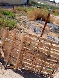 قطعه ارض زراعي سند 25 الشعب السريدات القديمه المربع الثالث شارع العام ...