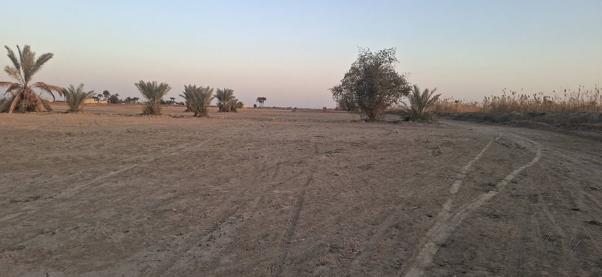 كاع بقريت الناطور قرب المدرسه شارع تبليط ماء اساله ماء سكي كهرباء نخل حمال ابيع من ٢دونم الى ٢٣دونم ***********
