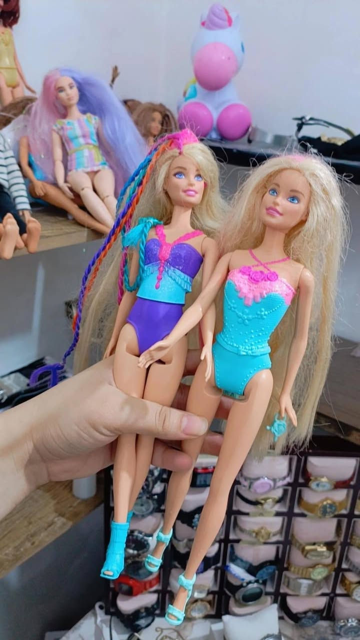 شلعه بسعر مناسب كلهم درجه اولى


**إذا كنت صاحب هذا الإعلان وتريد حذفه لأي سبب، رجاءا أرسل رسالة إلى الدعم الفني**