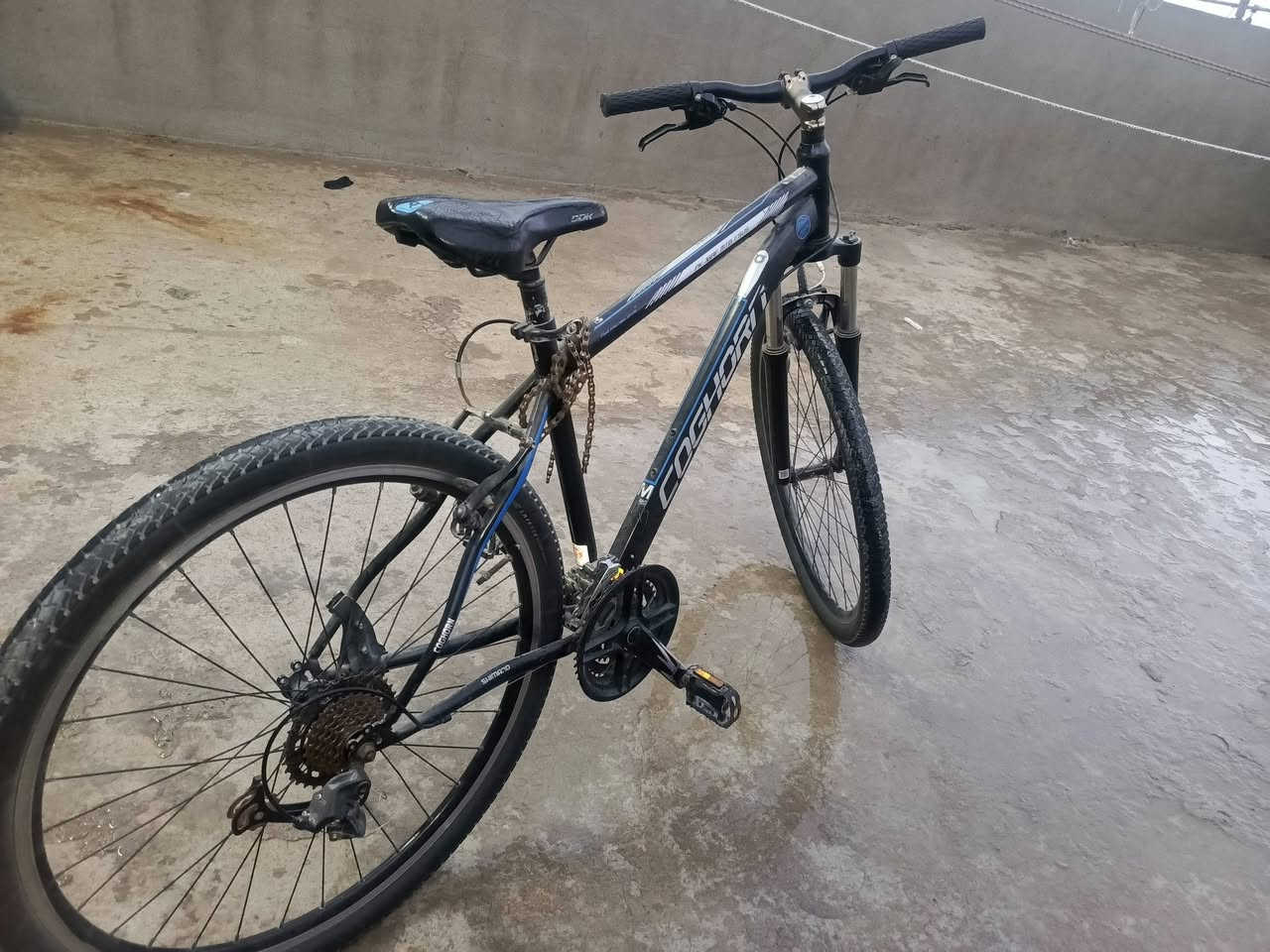 بايسكل للبيع نضيف
فقط زنجيل تبديل ينرادله
السعر130
***********
***********
