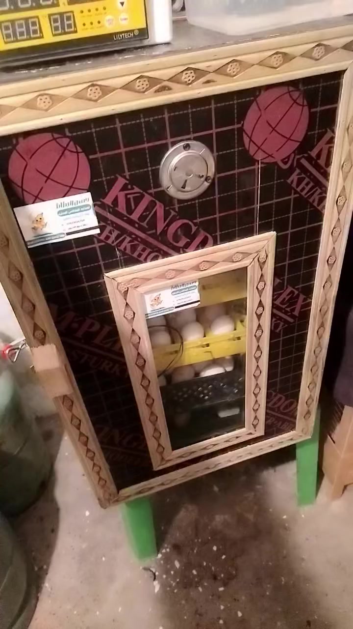 متاح فقاسة للبيع فول اتوماتيك ياخذ 200 بيضة
السعر 300 الف بي مجال الشراي يخابرني على الرقم ***********
