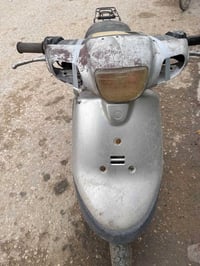 بطه • شغاله • كربلاء