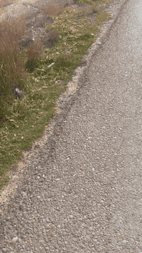 8 دونم طابو ملك صرف لبيع بسعر مناسب في التاجي منطقه علي حمد تبعد عن شارع نزال سبع البور 800 متر 
الاستفسار عنها الاتصال على الرقم ***********
