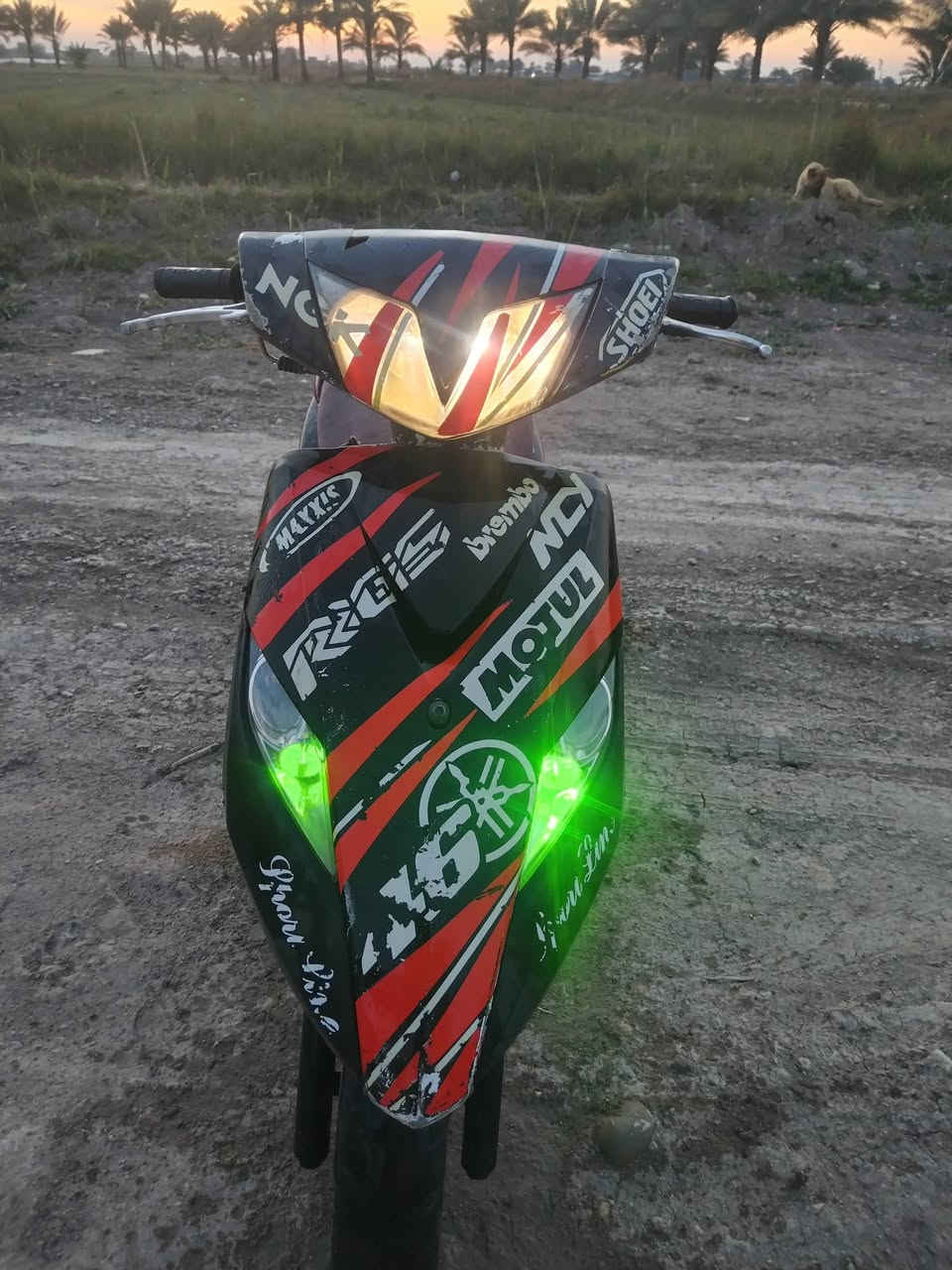 السلام عليكم ثعلب للبيع دراجة نضيفة شغالة سلف وهندر ومكينة ناعمة لا نضوح ولا تبخير كهربائيات كلها شغالة لايت عالي ناصي ابيض واصفر وسكنات خضر واشاير هورن كله شغال بيها بس الكابريتر تجاري بس شغال ونوعية زينة ب ٣٠ جبته ونقص قمجي مال بريك الباقي كاملة مكاني بغداد شعله تواصل خاص سعر ٣٧٥ وبيها مجال


**إذا كنت صاحب هذا الإعلان وتريد حذفه لأي سبب، رجاءا أرسل رسالة إلى الدعم الفني**