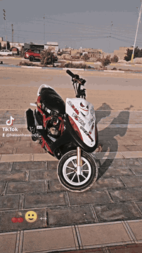 ماكس • معدّل • شطرة