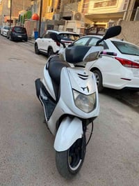سكنس نثيه • ياباني • 140