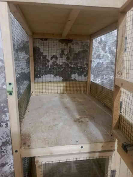 قفص للبيع ارتفاع مترتين اربع خانات كل خانه ارتفاعها 50 والوجه 50 والنزال 60 جديده صير مال دجاج ومال حمام سعره 40 مكاني حي الجهاد ***********
