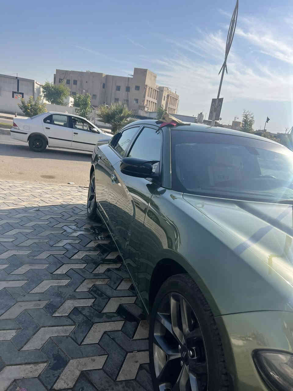 السلام عليكم
جارجر sxt2020 اصل بسمي رقم بغداد 
فول موصفوات واحد ع واحد 
داخله تقرير تعمل وتسير 
وهنا بالعراق باب خلف السايق نضرب ضربه خفيفه ونصبغ يعني لا دوسه ولا اي شي ضرر بيها والباقي كفاله عامه 
ماشيه 50 الف
سعرها 240$ وبيها مجال قليل 
السيارة ايدي بيها وماناقصها اي شي
مكاني الناصرية مركز 
***********
