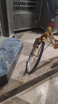 باسكل • نضافة فول