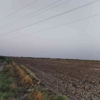 أرض زراعية • ٥ دونم • ماء سقي