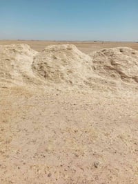 تبن • تبن للبيع • علف تبن • أعلاف للبيع • تبن صلاح الدين • تبن الحجاج ...