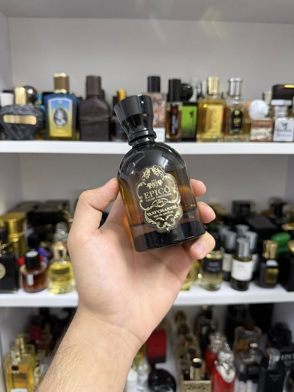 السلام عليكم
محموعة عطور اصليه للبيع تفاصيل اسفل الصوره🙏🏼🩶


**إذا كنت صاحب هذا الإعلان وتريد حذفه لأي سبب، رجاءا أرسل رسالة إلى الدعم الفني**