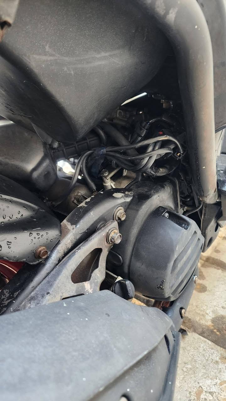 سلام عليكم
مال رمبه صالها اسبوع طالعه من الرمبه 
المكان بصره ***********
