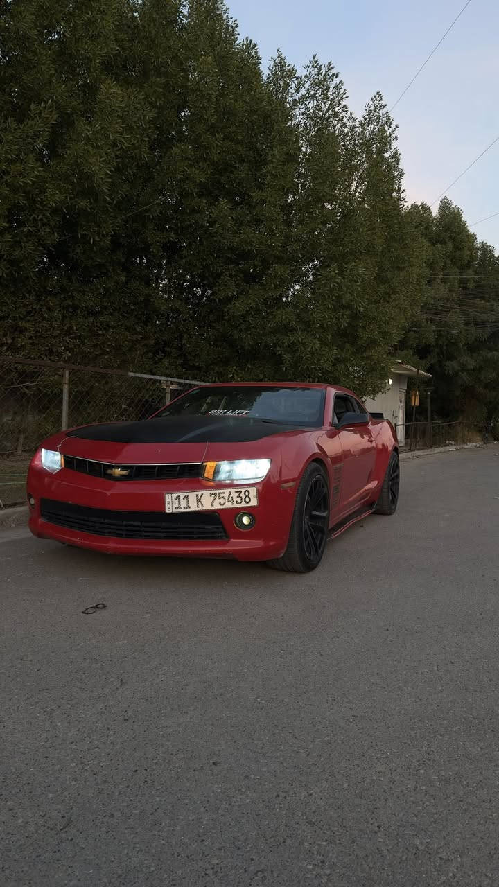 السلام عليكم بعد اذن الادمنية 
كمارو RS 2014 للبيع 
ماشية 157 الف قابل للزيادة 
السيارة حادثها مال امريكا جاملغ خلفي جهة السايق 
بيها صبغ ٤ قطع ابيع حزام رقم بغداد انكليزي جديد 
سنوية منتهية شهر ٣ 
مكينة V6 3600✈️
گير و محرك و اكسل مكفول 
ويالة تو سايز امامي ٢٧٥ 
و خلفي ٢٩٥ و تخم تاير جديد صارلة شهرين 
صدر خلفي كامل جديد اصلي GM مابيها قطعة تجاري و معلاية من ورة شوية على مود نعومة الطسة و تفوت بيها وين ميعجبك 
عليها دبات وسطية صوتها كلش حلو و مو مبالغ بي 
راديتر و جوينات و بنكات و ولف حماوة كلة عليه سيرفس كامل و بلكات ريسنگ و برمجة كاملة تريد تفول عادي او محسن كلشي تسحك 
حماوة ثابتة بين 89 و 91 
نقوصات السيارة بكرة مال ستيرن بيها قطع 
و طوافة تانكي جهة السايق و ضعف بسيط بالسلف 
اي نقص ينزل ينزل من سعرها و تكلفة السنوية كاملة تنزل من سعرها و اي غرامات تطلع ع السيارة هم تنزل ، مكان السيارة بغداد الغزالية 
رايدها ب ١١٠ قابل للتفاوض و اي استفسار على الرقم 
***********
