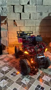 دراجة رباعية • حجم صغير • العلم