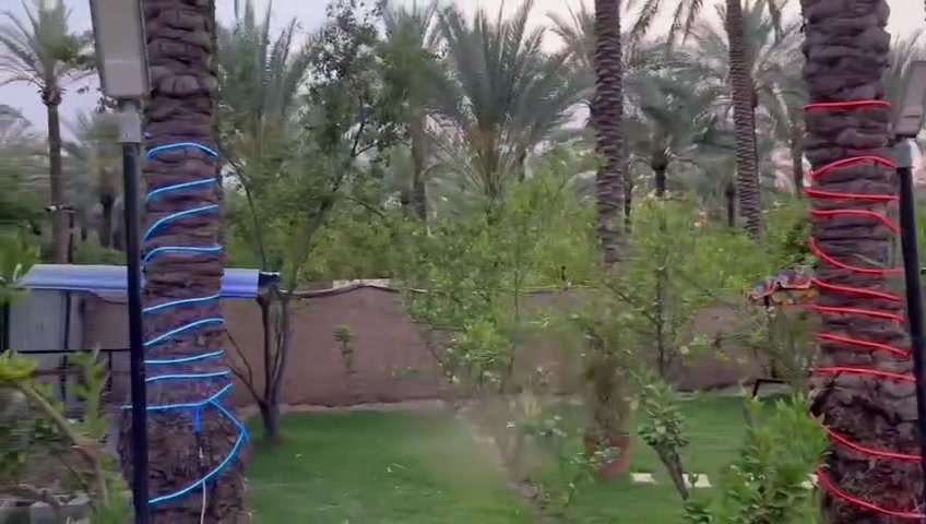 السلام عليكم مزرعه للبيع نصف دونم الموقع بغداد الراشديه طابو زراعي سند 25تحويل مباشر بأسم المشتري قرب البحيره او مزرعه النخيل الواجهيه 34النزال 38مزرعه جاهزه استثماريه الاستفسار اكثر الاتصال على الرقم***********
