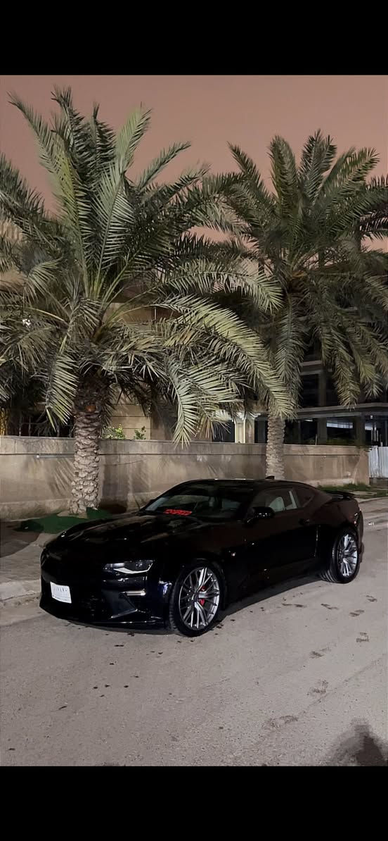 شونكم حبايب 
للبيع فقط 
كمارو 2ss
2017 
بدون ايرباك 
مواصفات دجتل شاشه جبيره 
فتحه 
كشن كهرباء ومواصفات البقيه معروفه 
حادث جاملغ خلفي 
وجاملغ امامي صبغ
 والجنطه شي كلش بسيط
بدون اي دواخل شرط الفحص 
مكينه وگير ممفتوحات 
بيه شوته afe مفتوحه 
واير بلك mzd
ولف حماوه مشميتو 
داون بايب +دبل اكس بايب 
گزوز كورسا 
بك لايت سموك وبعد هواي امور 
ماشيه 63 الف ميل 
جاهزه للاخير 
صدر امامي كله جديد وعل فحص 
تخم تاير جديد 
مكينه گير اكسل كهربائيات تبريد كلهن اي مشاكل مابيهن 
رقم بغداد شبه مميز وتحويل مباشر 
مكاني بغداد المنصور ممتواجد ماسنجر
السعر 157 وبيه مجال  
*********** واتساب
