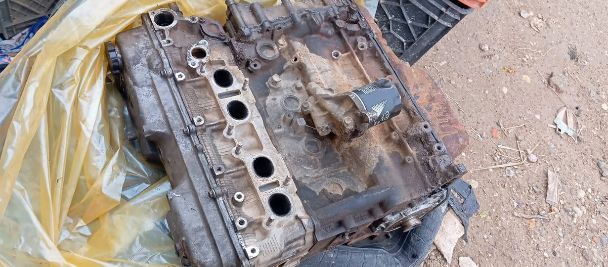 محرك كلب يطق السعر 600 وبيه مجال الطيبين واسط قضاء الحي ***********
