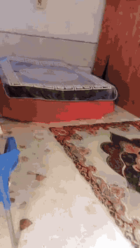 بيت زراعي للبيع الرئاسه  شارع 15 المساحه 180 بناء حديث السعر 120 
***********
