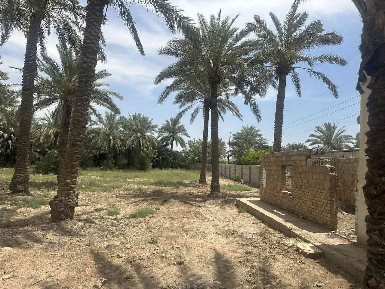 السلام عليكم مزرعه طابو صرف ٦ دونم للبيع منطقه الخناسه بفرع النائب كاظم عطيه    ***********
