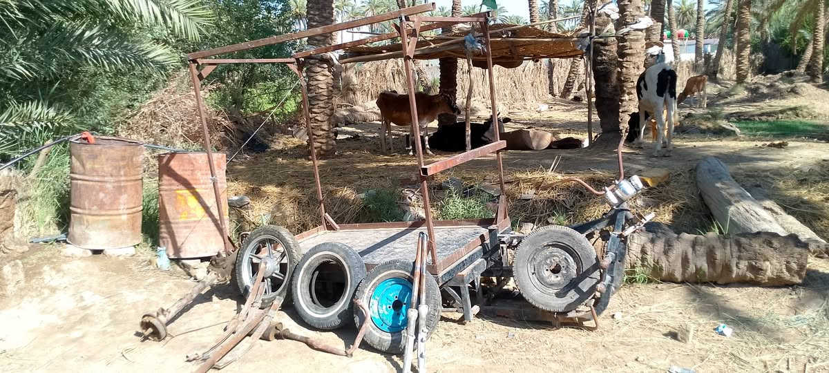 سلام عليكم ستوته للبيع مفصخه غراضهه كامله عوزهه بس مكينه بيهه حصيره مال جمره جديده اليريدهه تصل عالرقم ***********

