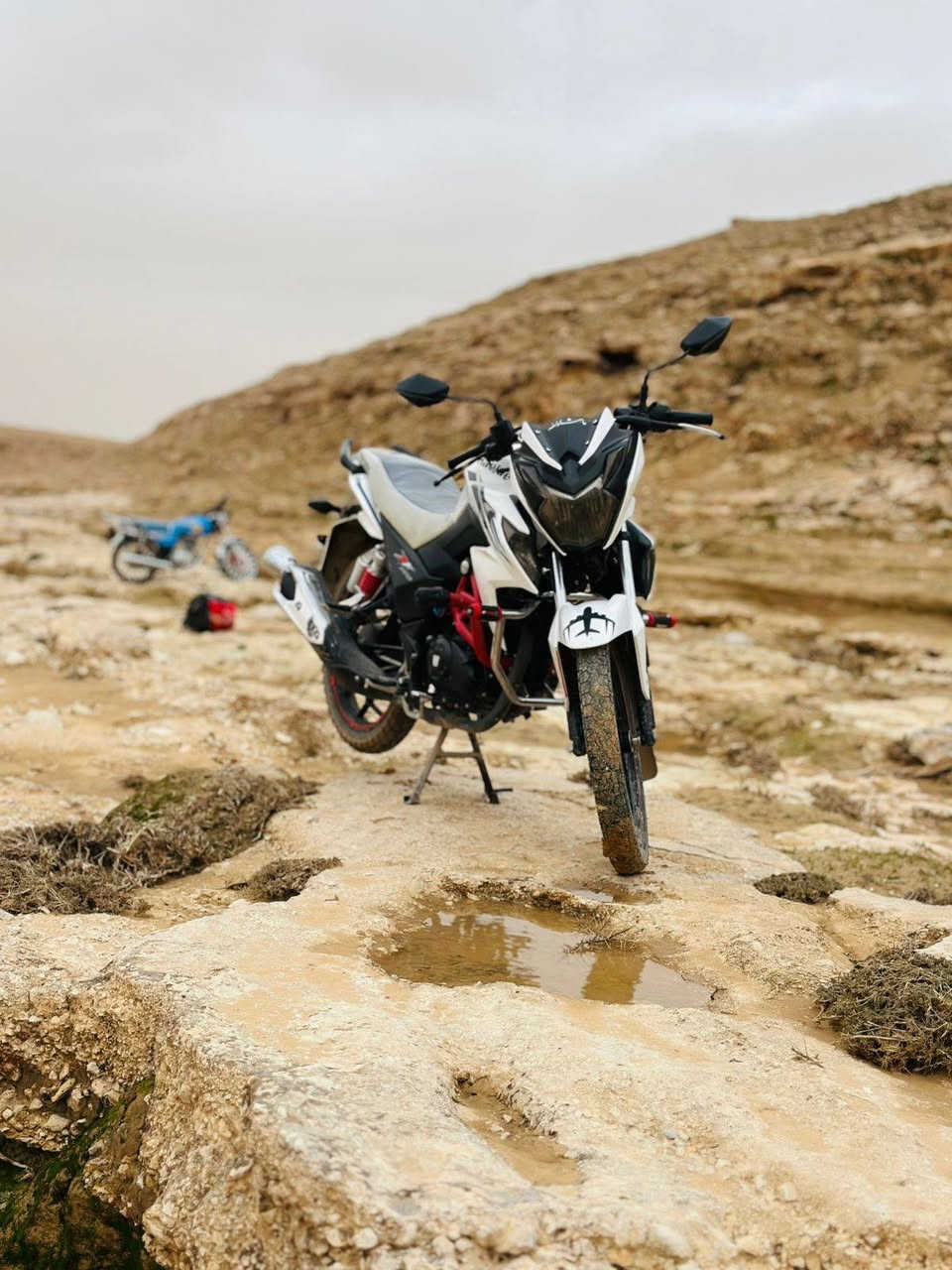 السلام عليكم هاوجي دي اف ٢١ مسجل رقم اجنبي دراجه حلوه ونضيفه مكانهه حديثة رقم ***********
