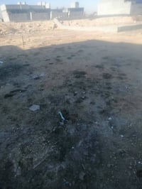 كربلاء المقدسه البراهميه • ١٠٠م • عرض٨م