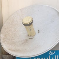 نانو • شغال • للبيع