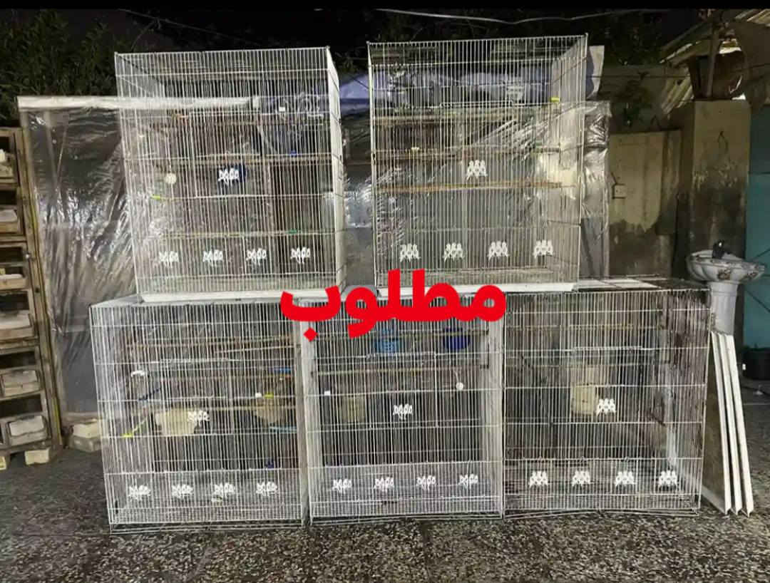 السلام عليكم مجموعه اقفاص العدد 6 مراوس بخانه مثل الي بل صوره خانه حجم كبير مكاني النجف شارع المطار الجديد


**إذا كنت صاحب هذا الإعلان وتريد حذفه لأي سبب، رجاءا أرسل رسالة إلى الدعم الفني**