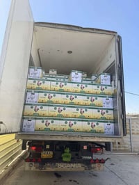 وبركاته توفر. بيض المائدة الديوانيه   احمر / ابيض اليوم26-2-2026 احمر ...