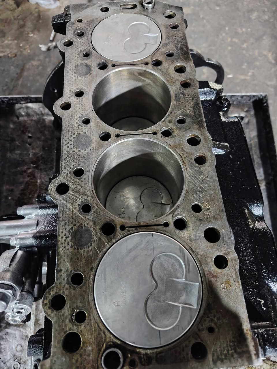 تم بفضل الله تعالى تجفيت ستار كس 2009 تجفيت و207 تجفيت عام غراض اصليه ضمان سنه بوش وبستم ورنك ويطغ تخم واشر تخم جبن تخم قوايش تخم رولات واتر بم صينية اكلج بوربرن اكلج صوندة دينمو ماء ودهن وفلتر دهن تجيك أربع اويالة وأربع راديترات من اللة توفيق خدمات محمد الشمري ديالى بعقويه تقاطع ساده *********** ***********
