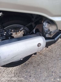 ماجستى • فحل • ABS