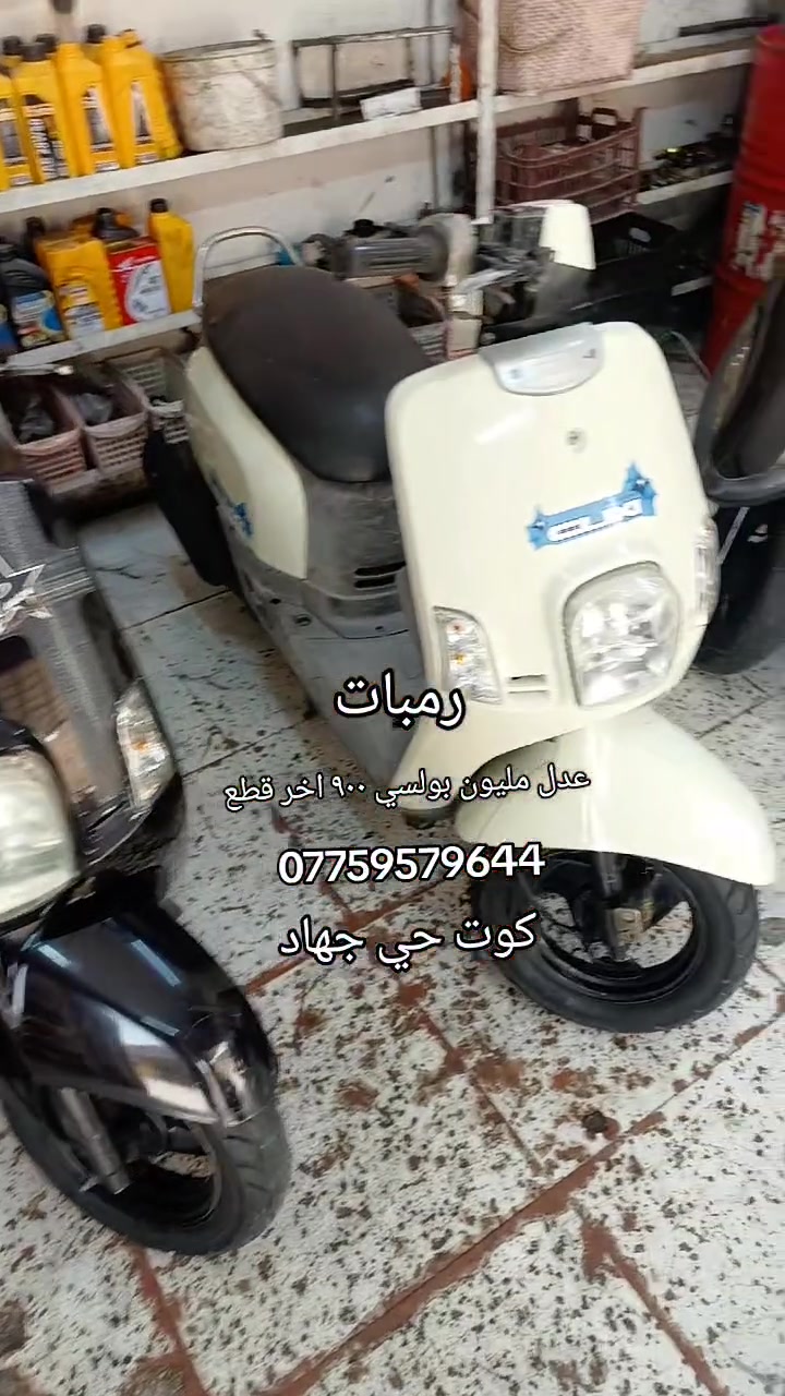رمبات ماكس عدل وبولسي مكاني كوت حي جهاد 
خاص متواجد


**إذا كنت صاحب هذا الإعلان وتريد حذفه لأي سبب، رجاءا أرسل رسالة إلى الدعم الفني**