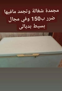 مجمدة • نظيفة • تجميد فول