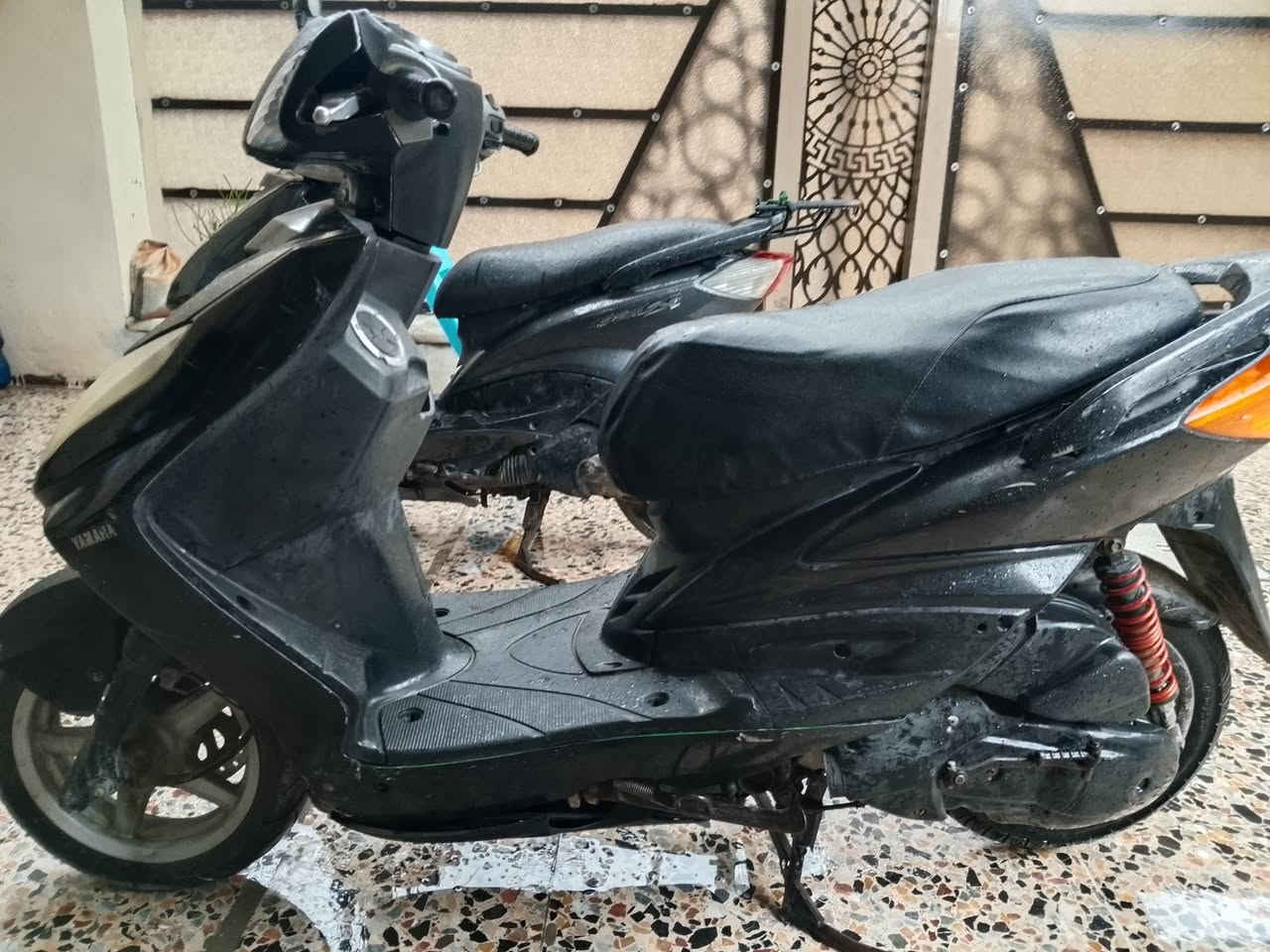 سكنس فحل كوري نضيفه كلشي كامل بغداد البلديات ***********.      سعر ٤٥٠
