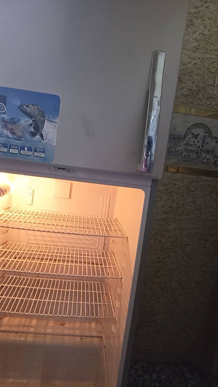 ثلاجه نضيفه جدا ب٢٠٠ ثلجه زين الشعب بغداد, العراق


**إذا كنت صاحب هذا الإعلان وتريد حذفه لأي سبب، رجاءا أرسل رسالة إلى الدعم الفني**