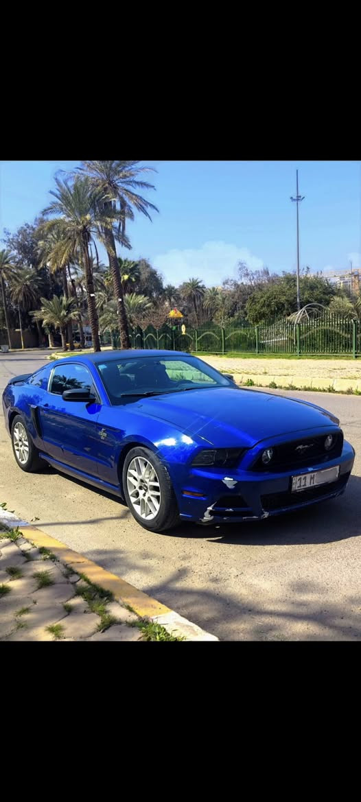2014 Mustang🐎
فورد موستنج 2014
رقم بغداد انكليزي مشروع وطني 
كاميرا +شاشه 
مري كهرباء 
تخم تايرات جدد
تبريد شرط ثلج❄️ 
محرك v6 3.7
ماشيه 123
كفاله كير و محرك 
عليه تفرغ دبه وسطيه و برمجه 
حادث جاملع جه السائق صبغ بنيد فقط
كفاله من الشواصي 
السياره نظيفه بدون اي نقص و عليه إدامه كامله السياره بلاده و كلش نظيفه
السعر 115 بي مجال 
📍المكان بغداد المنصور
للاستفسار ***********
