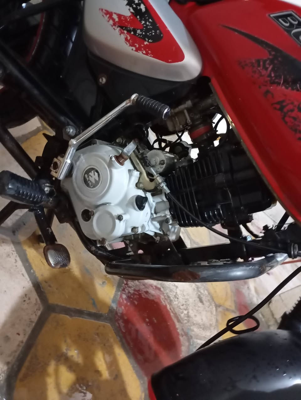 موديل 23 بوكسر جبلي سكنر سكنر
مكاتبة واكفلها من كلشي 
تخم اشاير جديد وباتري جديد وكلجات جديده بكلايت ولايت ولايتات زنون اضافية كلشي بيها شغال وعلى الشرط 
تجفيت جديد الأصلي يشهد الله بوشه وبستم بقه نقصها فقط لاستيك ولف ماشديته 
دراجة جاهزة مجهزة وسعر مناسب بالعافية ع ياخذها

*********** متواجد اتصال وواتساب وماسنجر
