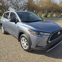 كروز • ٢٠٢٥ • ترقيم اربيل